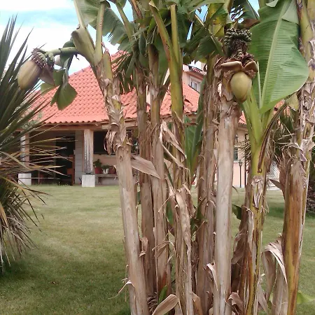 Casa Vale De Azibo Konukevi Macedo de Cavaleiros