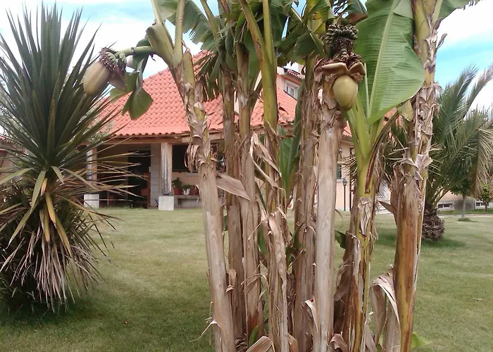 Casa Vale De Azibo Konukevi Macedo de Cavaleiros